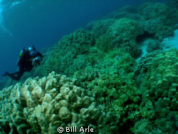 Puuhonau O honaunau, Big Island, HI by Bill Arle 